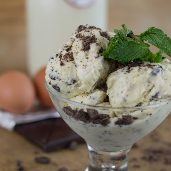 Fresh Mint Ice Cream with Chocolate Chips