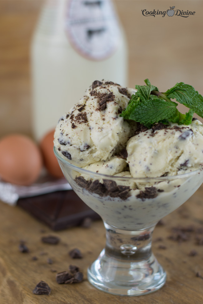 Fresh Mint Ice Cream with Chocolate Chips