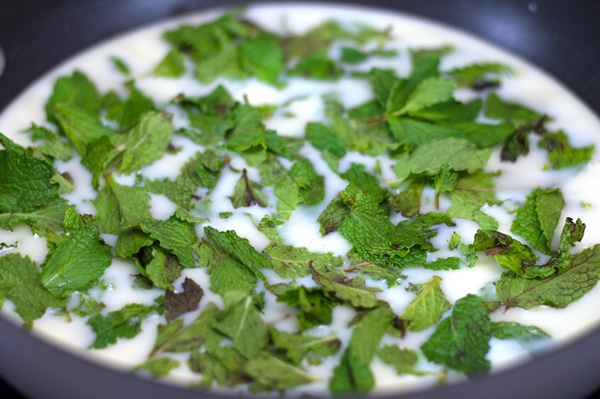 Infusing Mint into Ice Cream