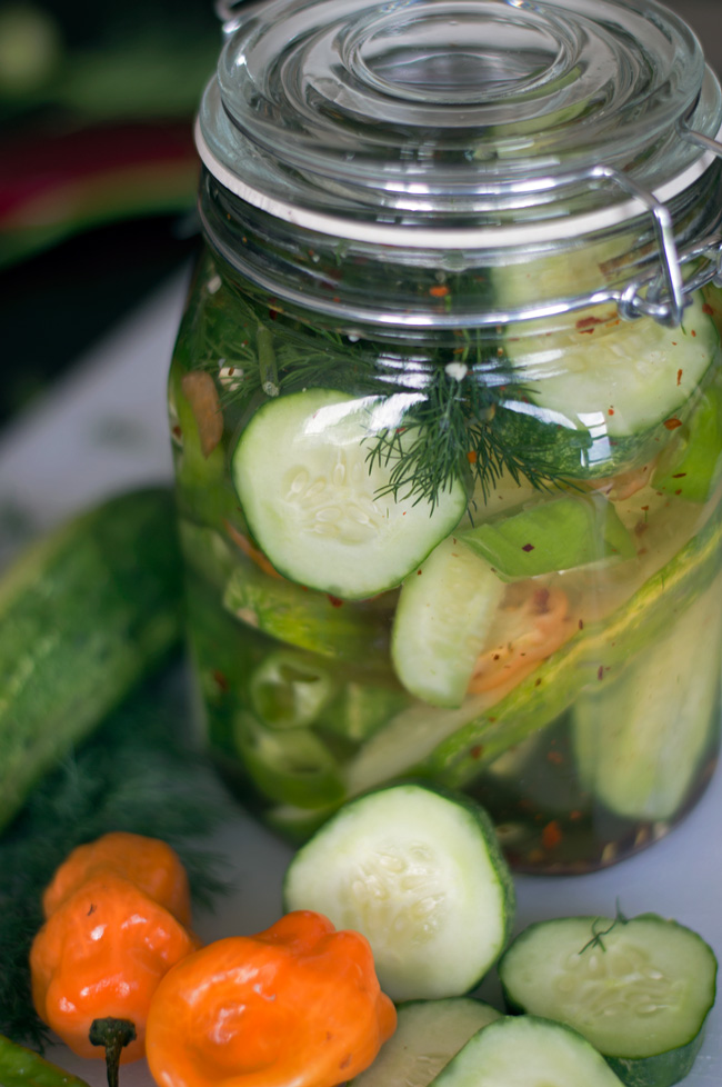 Homemade-Pickles-Spicy